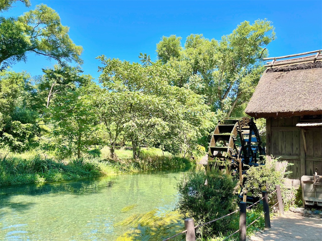 瞑想　潜在意識　波動　上げる　効果