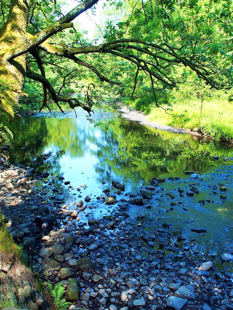瞑想 潜在意識 波動 上げる 効果