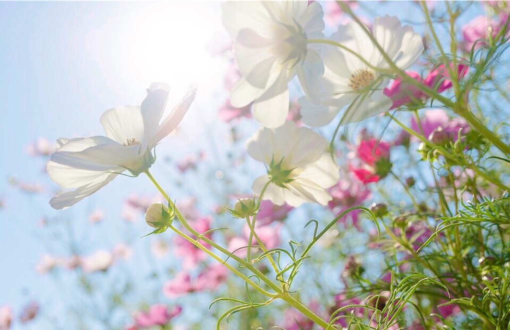 瞑想　潜在意識　波動　上げる　効果