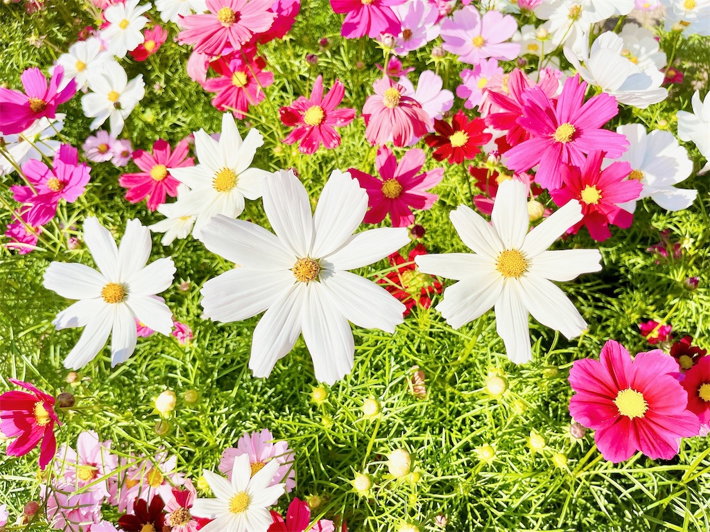 瞑想　潜在意識　波動　上げる　効果