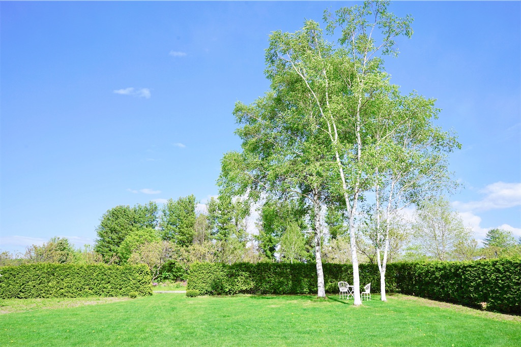 瞑想　潜在意識　波動　上げる　効果