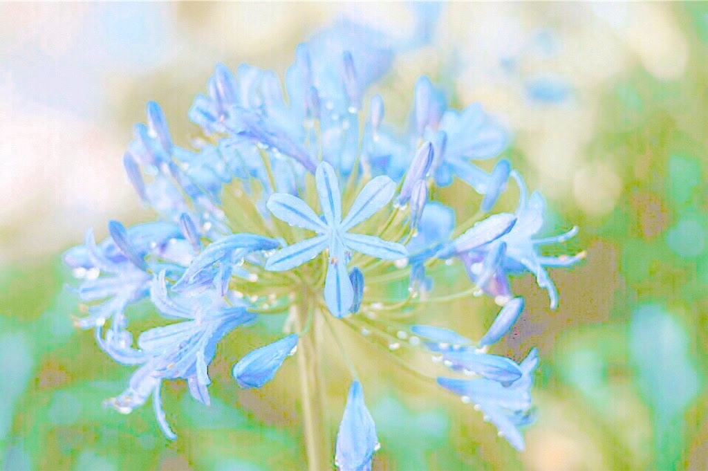 f:id:yuko-k-ami:20240528232052j:image