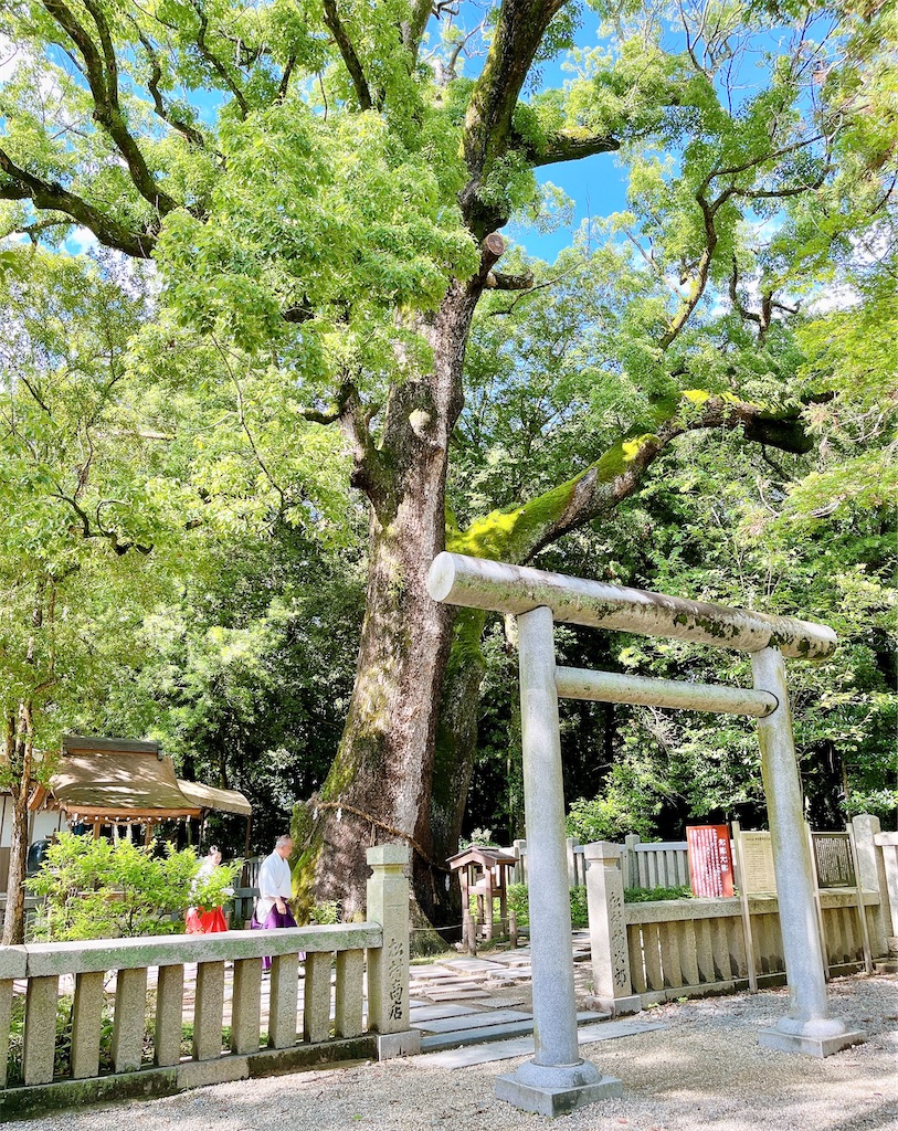瞑想　潜在意識　波動　上げる　効果