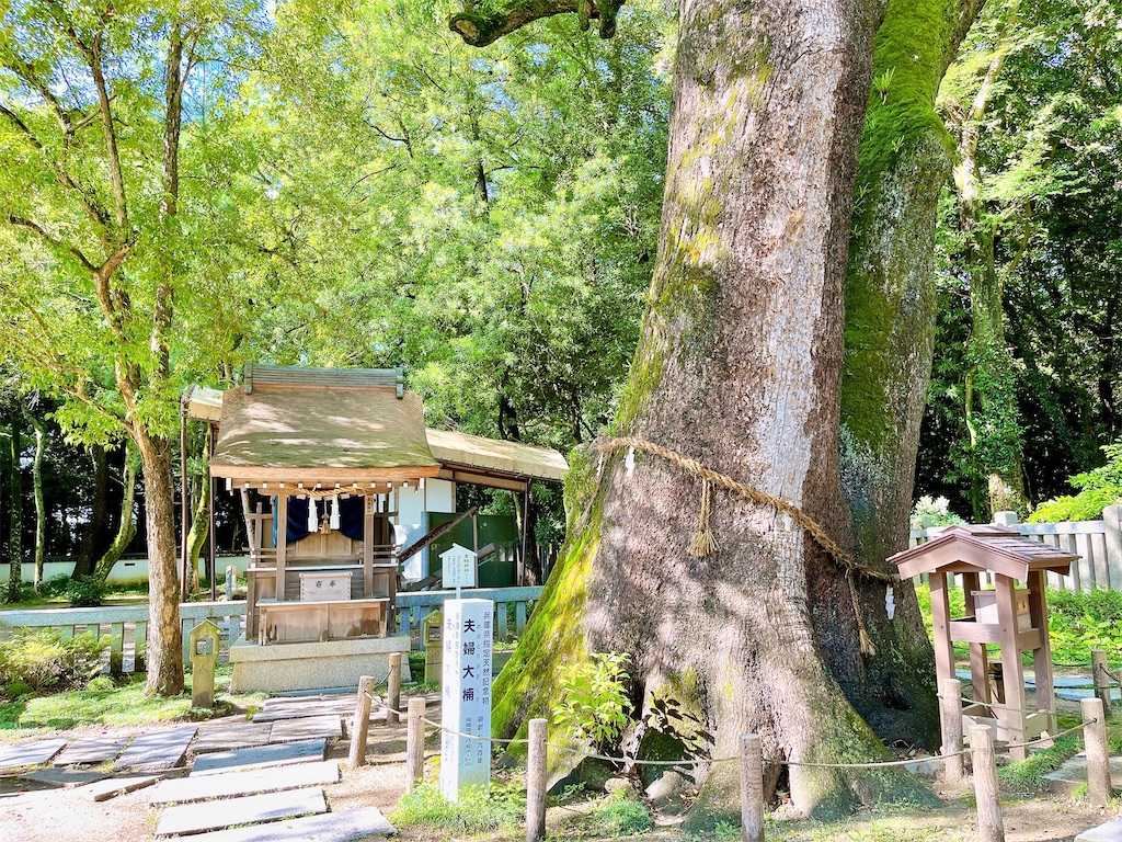 瞑想　潜在意識　波動　上げる　効果