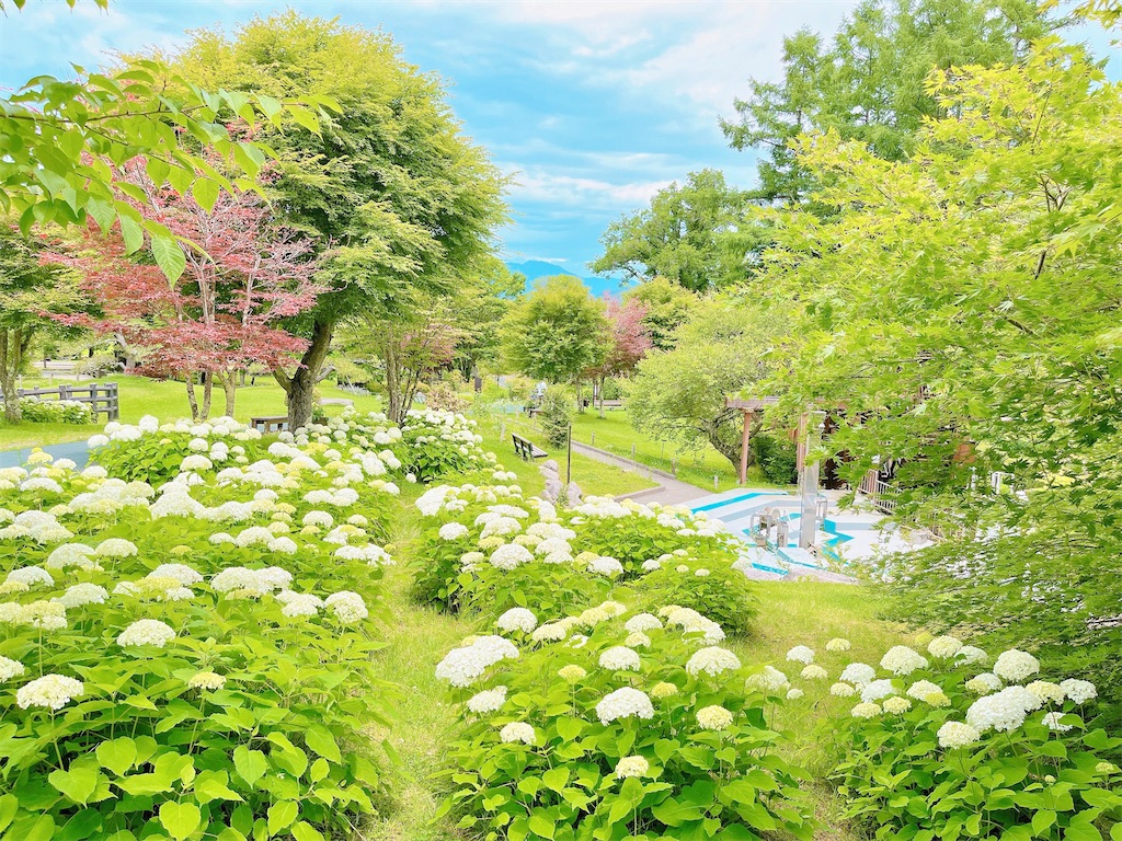 瞑想　潜在意識　波動　上げる　効果