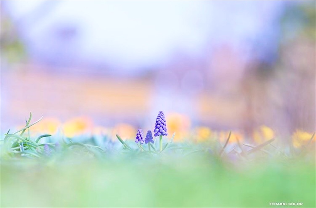 瞑想　潜在意識　波動　上げる　効果