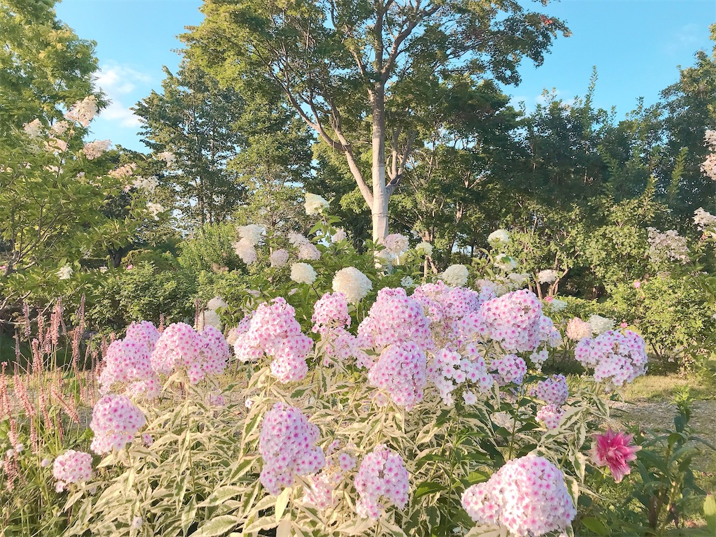 瞑想 潜在意識 波動 上げる 効果