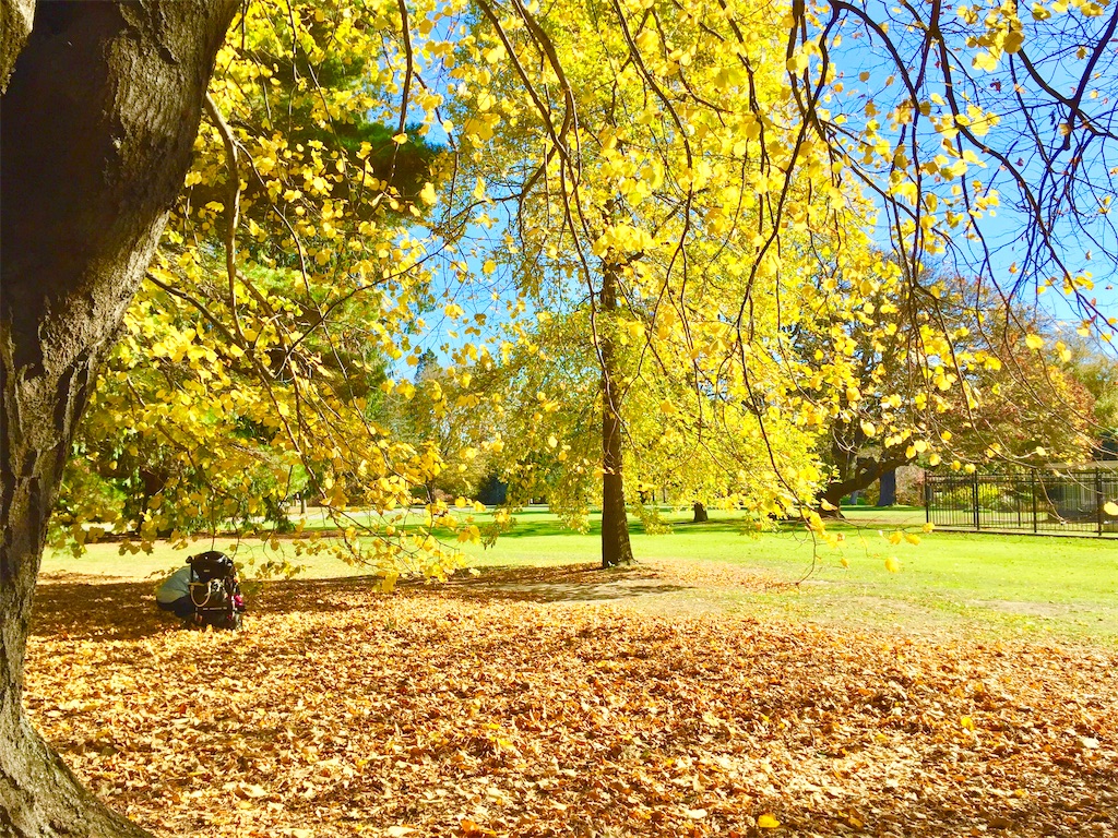 瞑想 潜在意識 波動 上げる 効果
