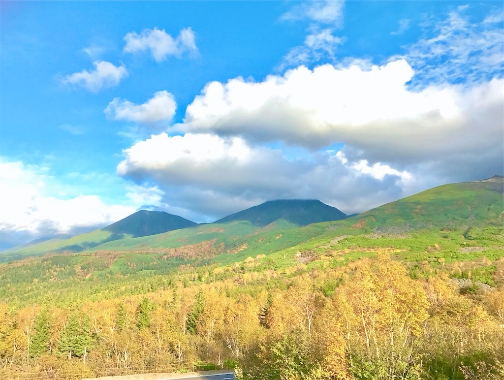 f:id:yuko-k-ami:20250208204355j:image