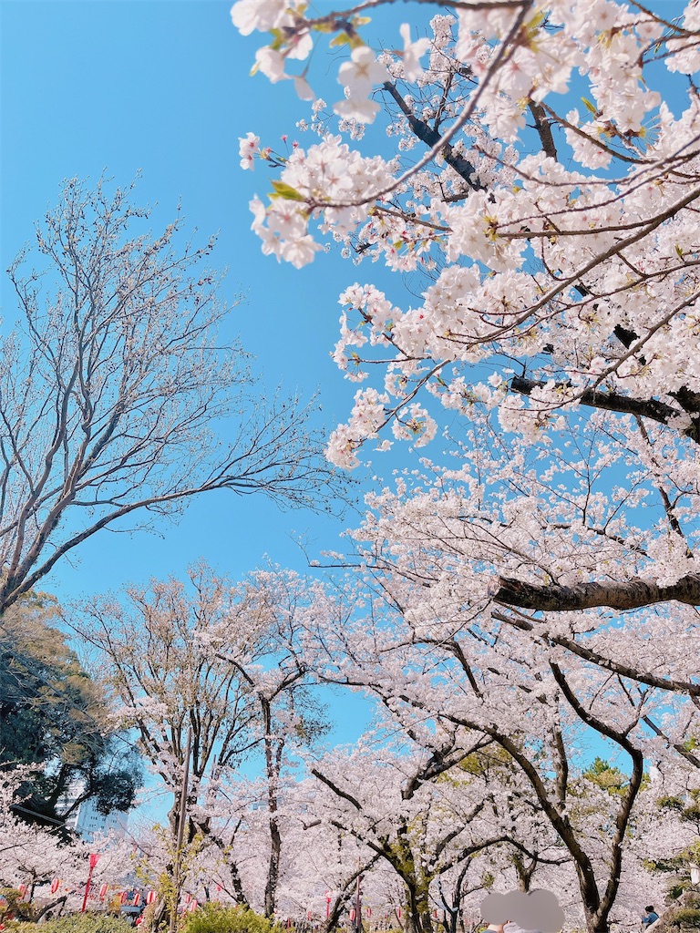 瞑想　潜在意識　波動　上げる　効果