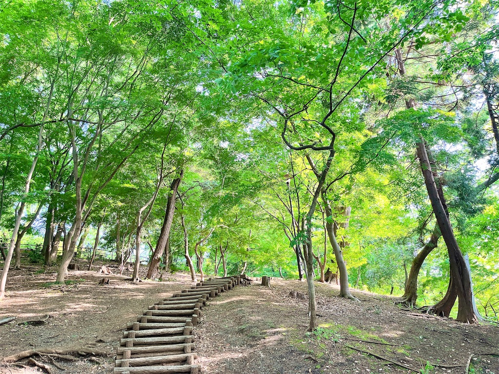 瞑想　潜在意識　波動　上げる　効果