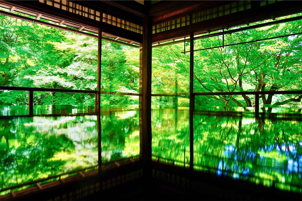 f:id:yuko-k-ami:20250605164653j:image