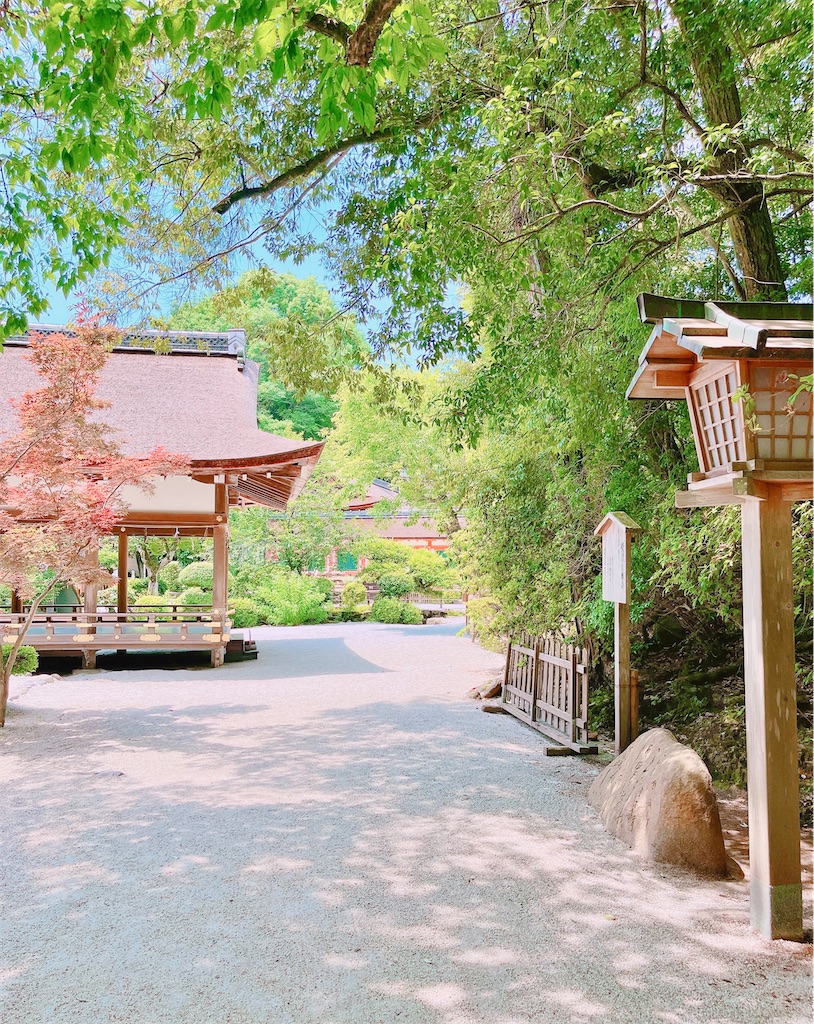 瞑想　潜在意識　直感　磨く