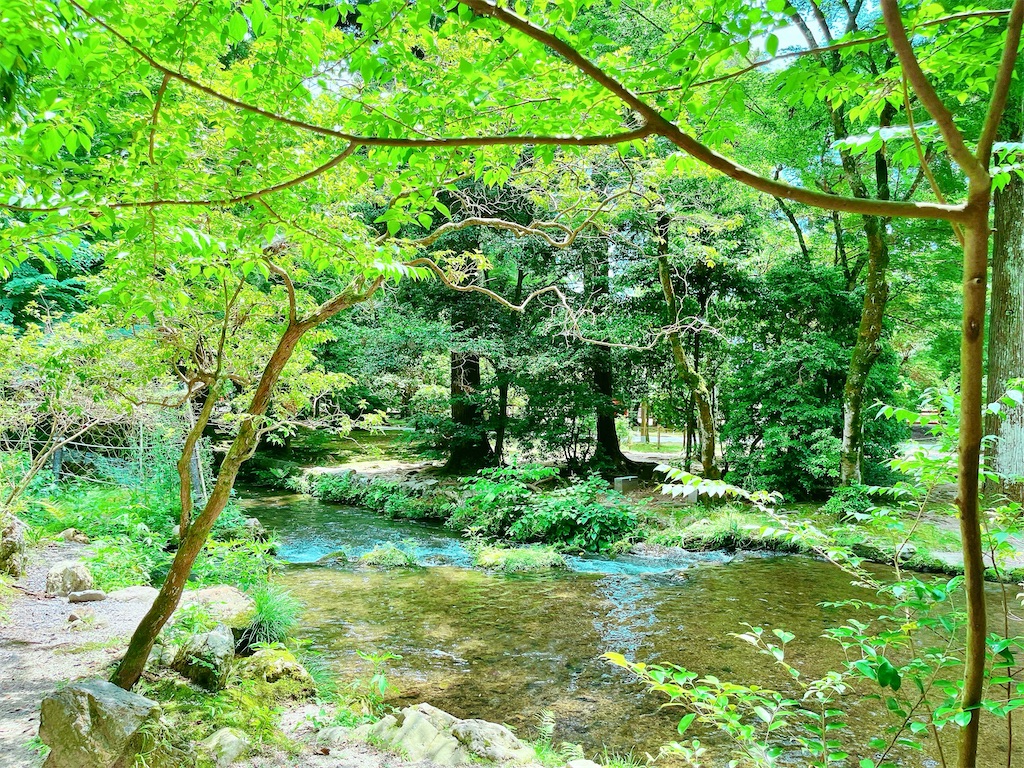 瞑想　潜在意識　直感　磨く