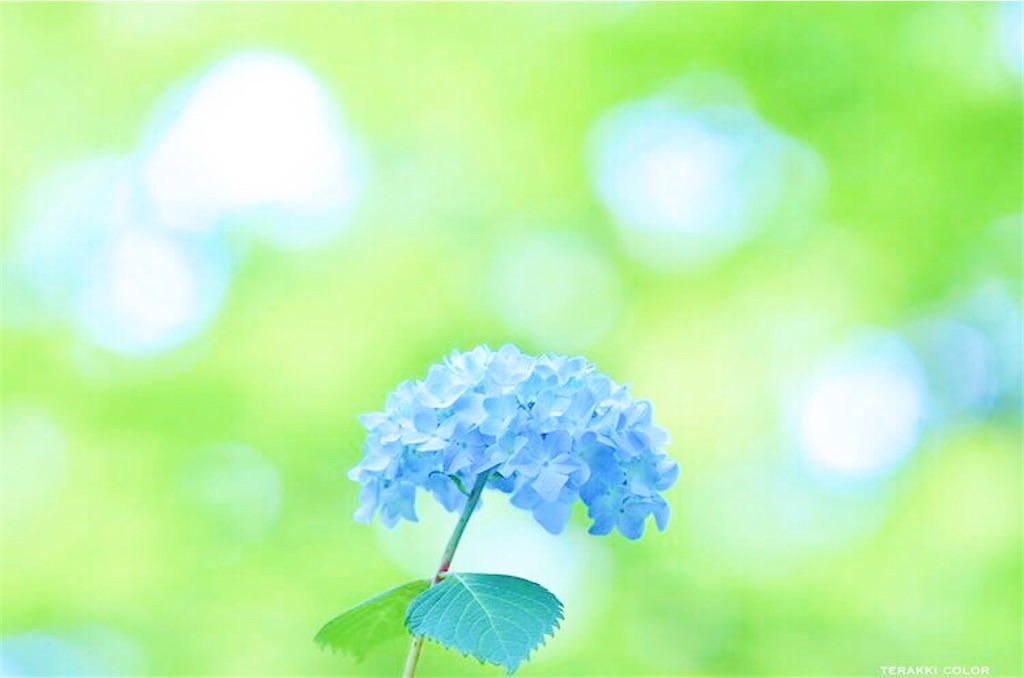 瞑想　潜在意識　直感　磨く