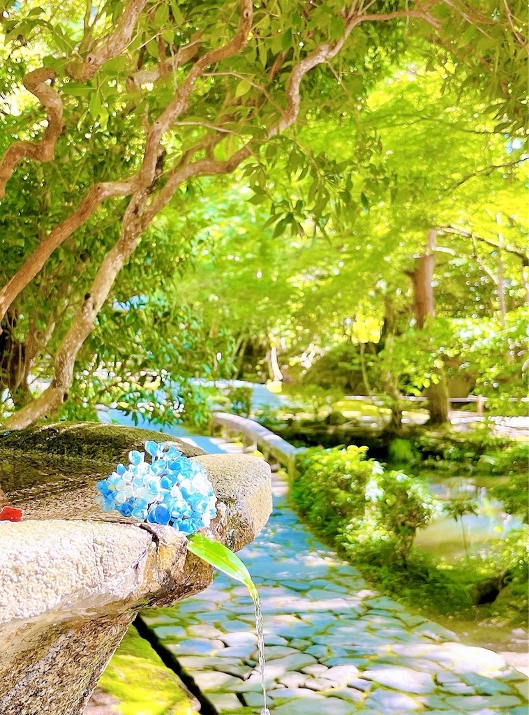瞑想　潜在意識　直感　磨く