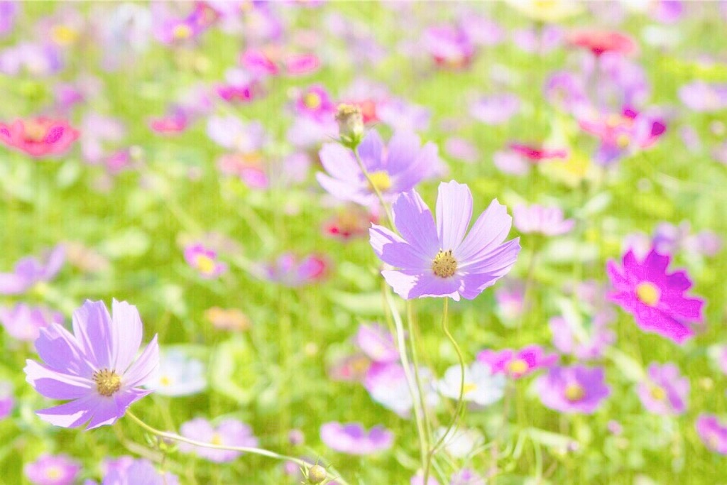 瞑想　潜在意識　直感　磨く