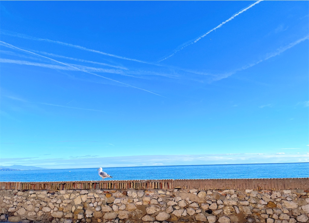 f:id:yuko-k-ami:20251216224742j:image f:id:yuko-k-ami:20251216224742j:image