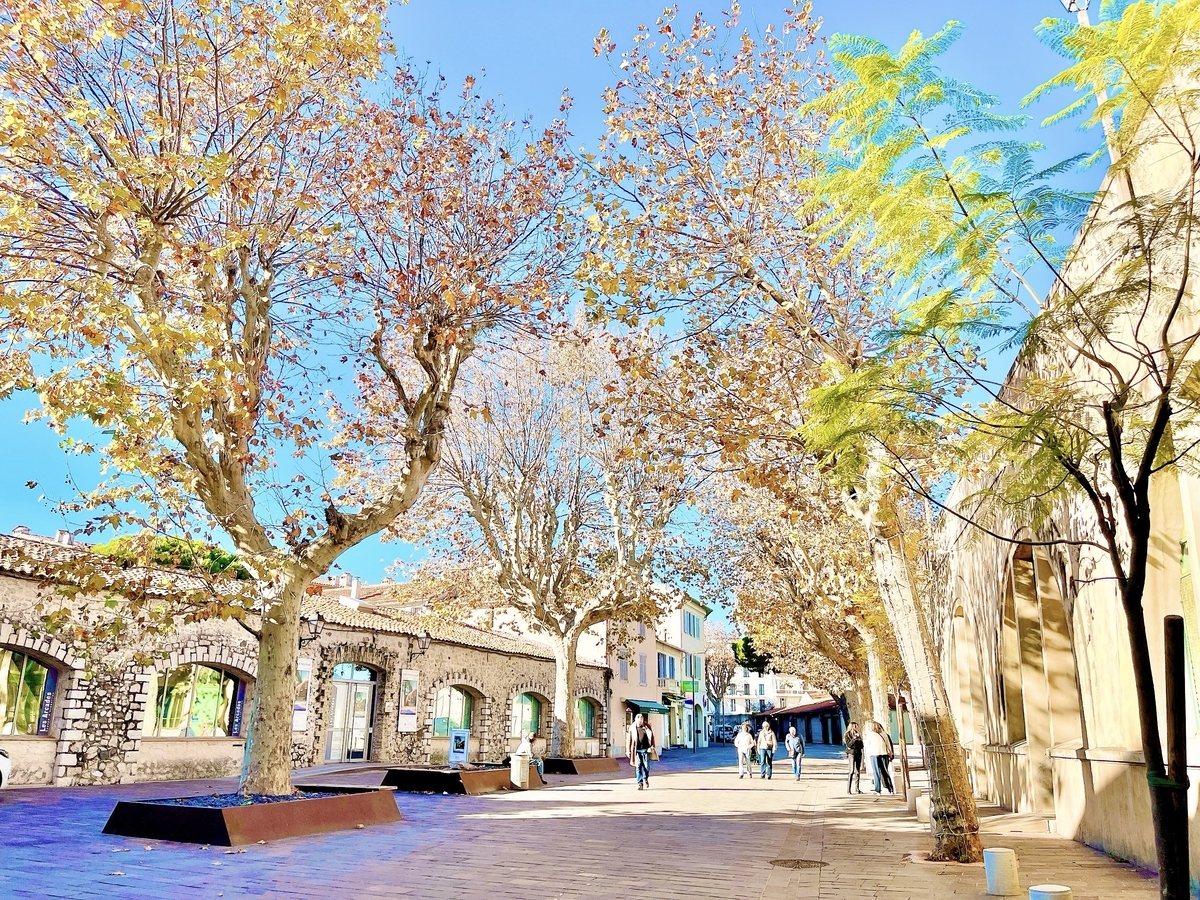 瞑想 潜在意識 直感