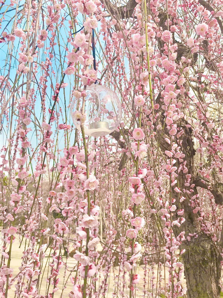 波動　上げる　瞑想　潜在意識　直感　