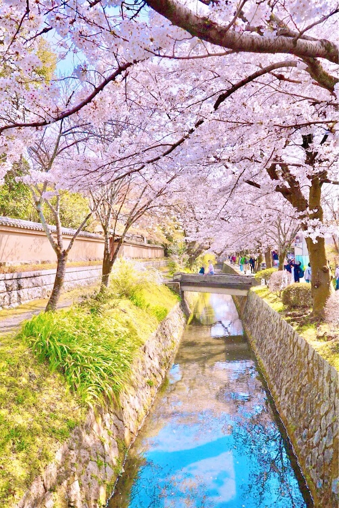 f:id:yuko-k-ami:20260330215055j:image