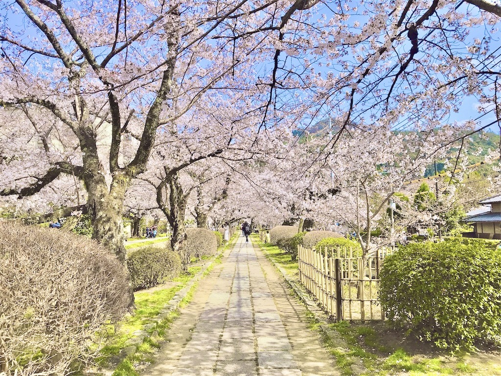 波動　上げる　瞑想　潜在意識　直感　