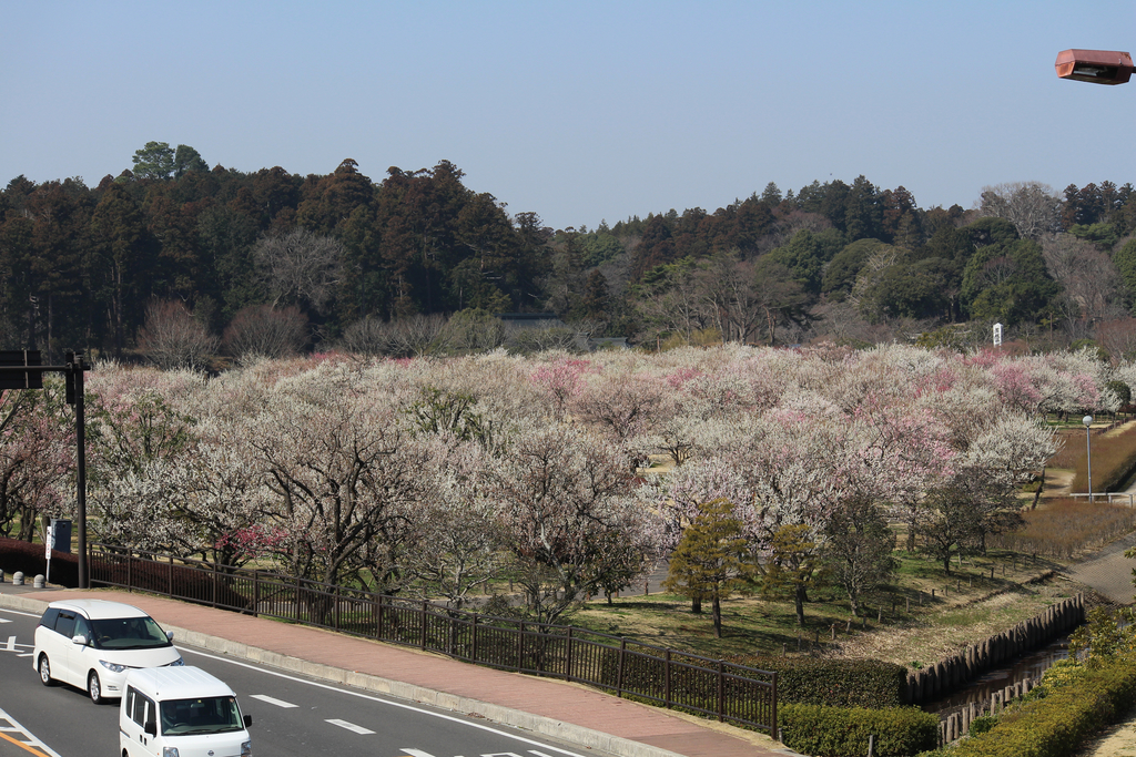 f:id:yuko-osa:20190302222306j:plain