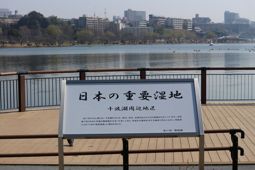 f:id:yuko-osa:20190302222958j:plain