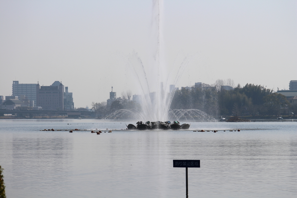 f:id:yuko-osa:20190302223004j:plain