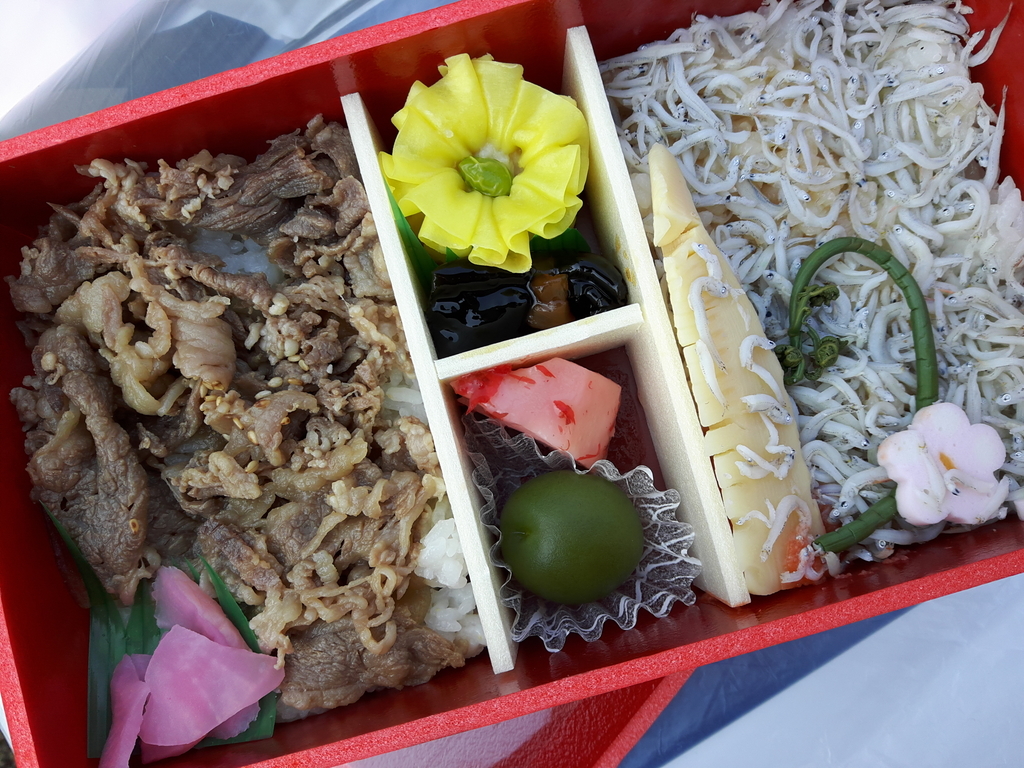 f:id:yuko-osa:20190302225946j:plain