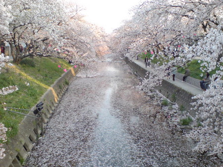f:id:yuko1658:20080406171850j:image f:id:yuko1658:20080406171850j:image