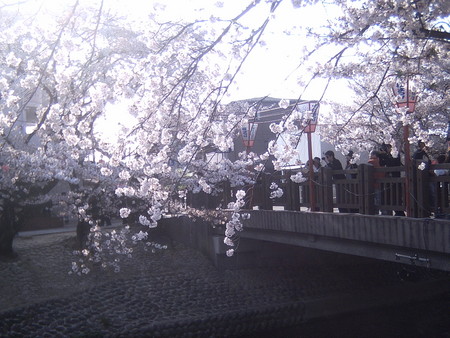 f:id:yuko1658:20080406230634j:image f:id:yuko1658:20080406230634j:image