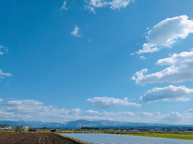 f:id:yuko76a:20171126092530j:image f:id:yuko76a:20171126092530j:image