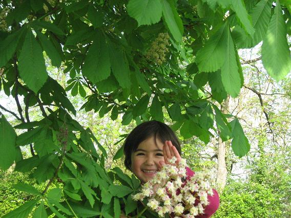 f:id:yuko_raisindor:20110420105510j:image:w360