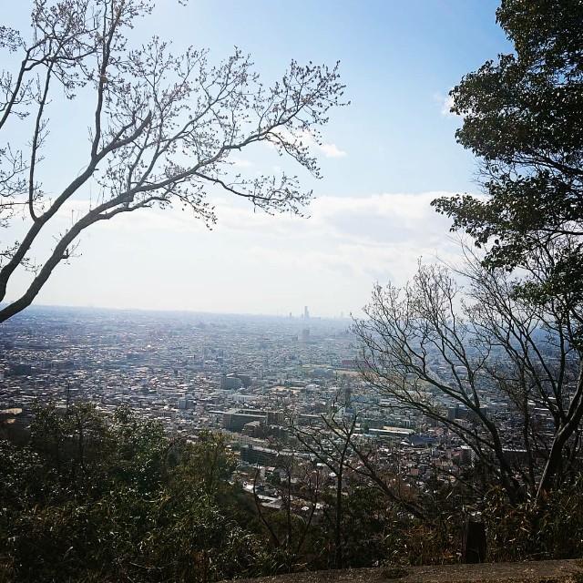f:id:yukobee:20200403015928j:image f:id:yukobee:20200403015928j:image