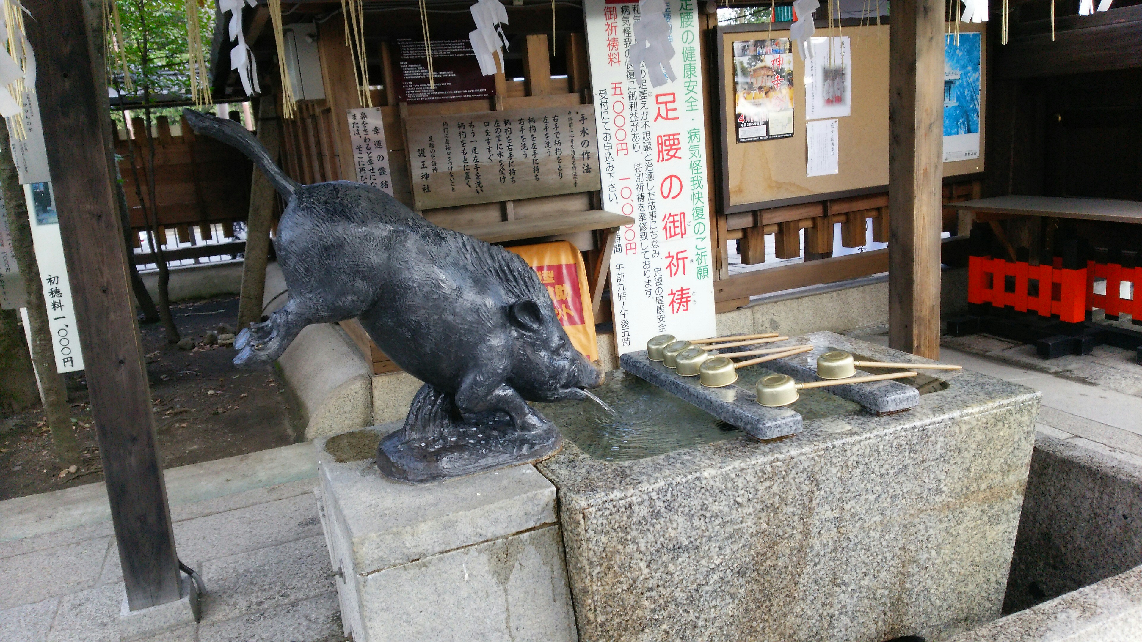 f:id:yukofm:20180320001909j:image f:id:yukofm:20180320001909j:image