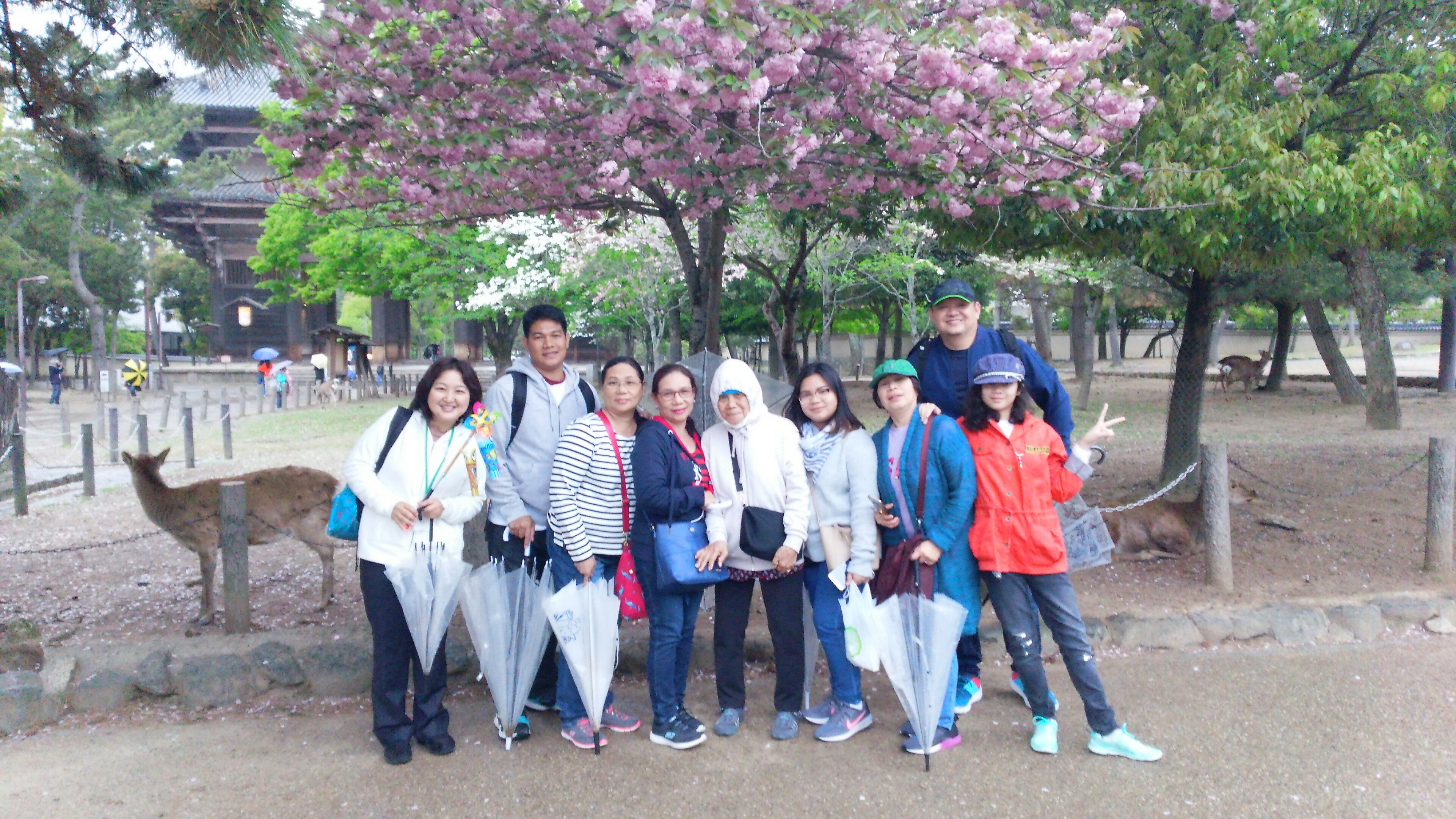 f:id:yukofm:20180604153925j:image f:id:yukofm:20180604153925j:image