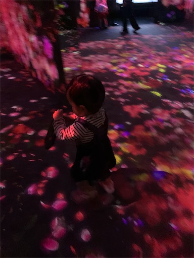 f:id:yukokos:20201122180422j:image f:id:yukokos:20201122180422j:image