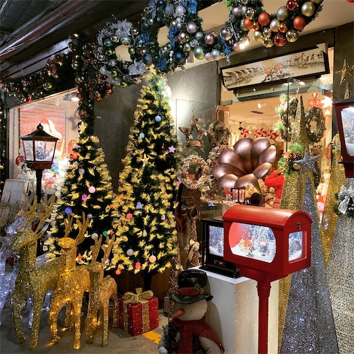 f:id:yukokos:20201122180503j:image f:id:yukokos:20201122180503j:image