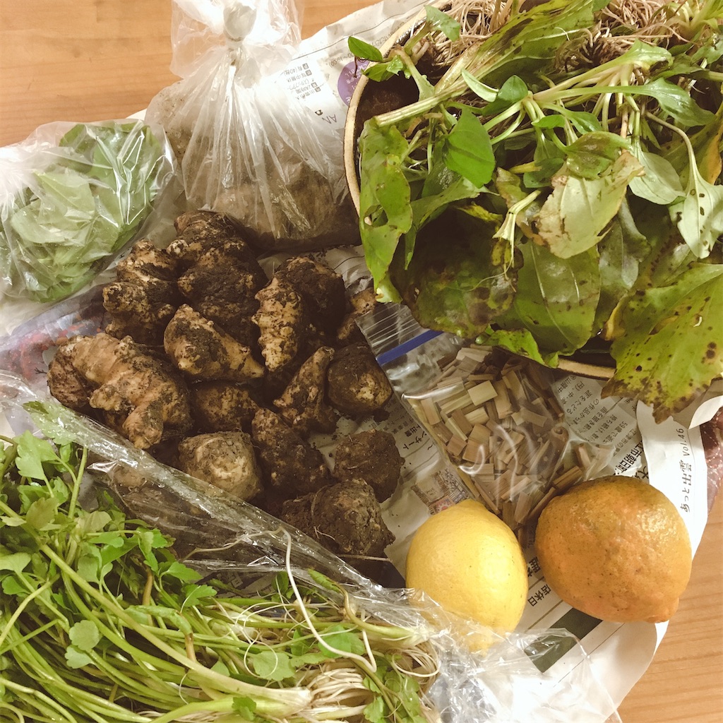 f:id:yukolifelog:20200206163550j:image f:id:yukolifelog:20200206163550j:image