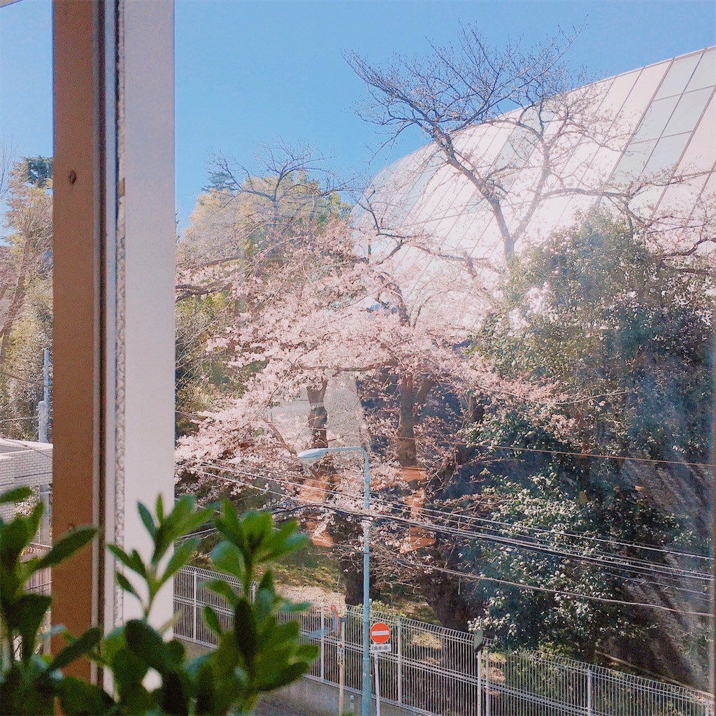 f:id:yukolifelog:20200320213442j:image f:id:yukolifelog:20200320213442j:image