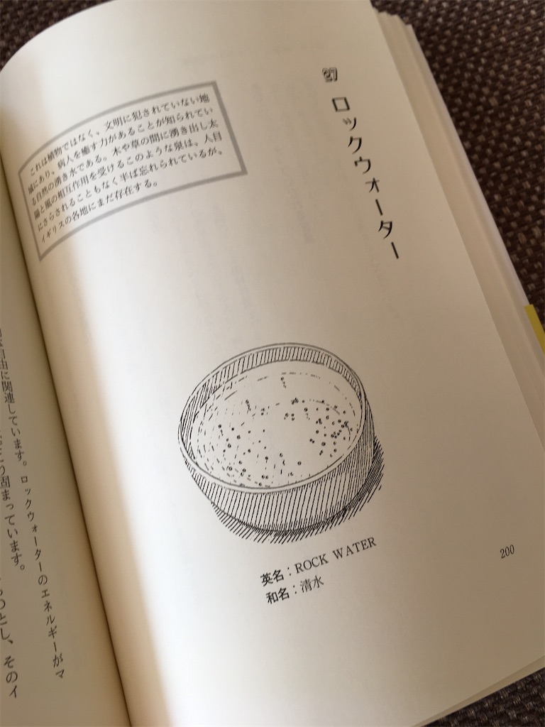 f:id:yukolifelog:20200603164022j:image f:id:yukolifelog:20200603164022j:image