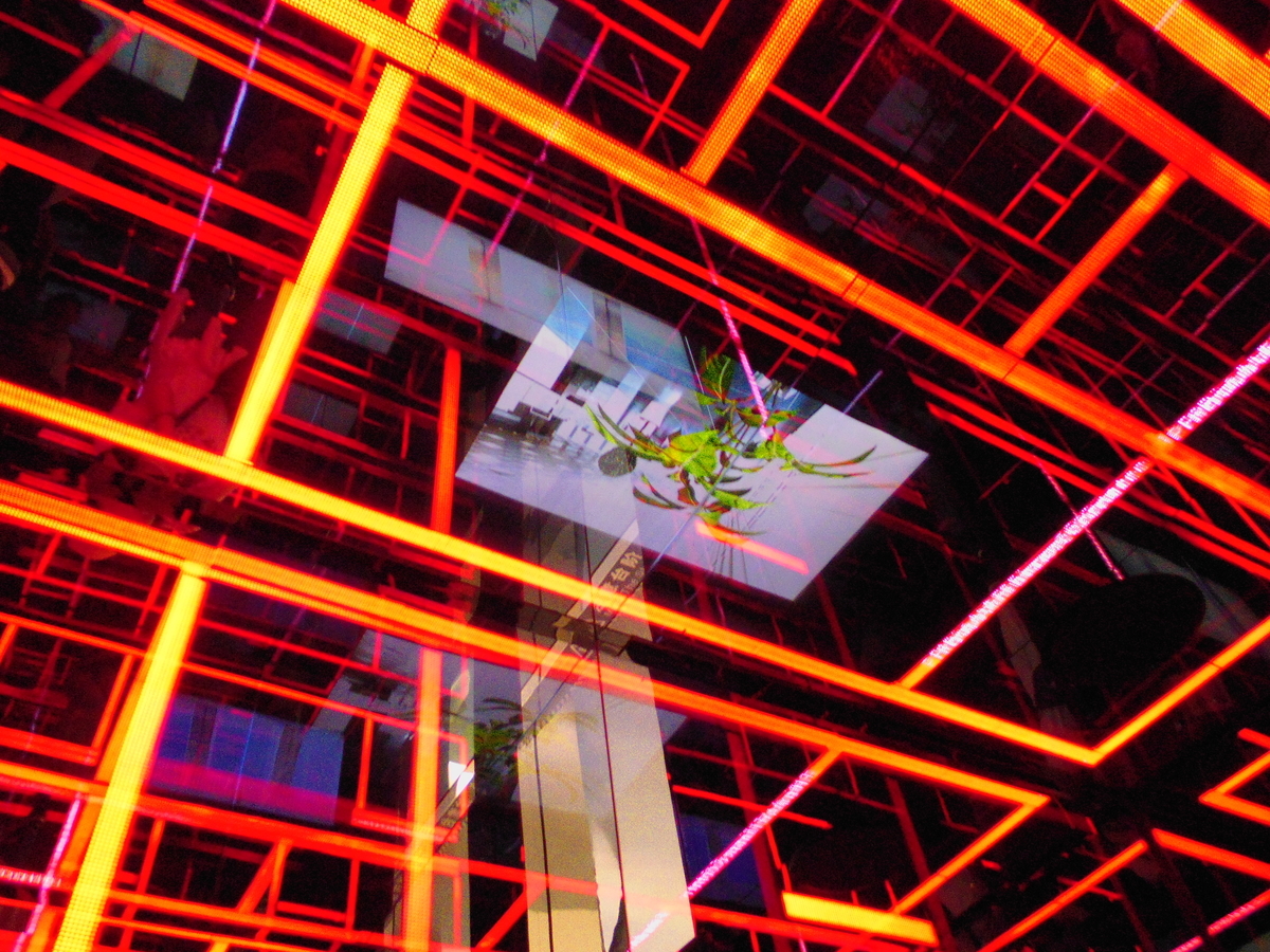 f:id:yukomanmaru:20210717100152j:plain