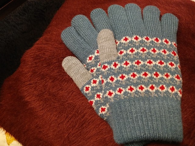 f:id:yukomanmaru:20211130210505j:image