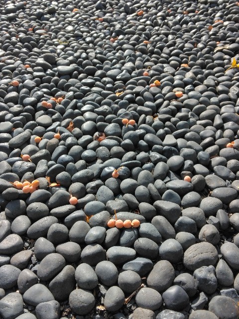 f:id:yukomanmaru:20231001165250j:image