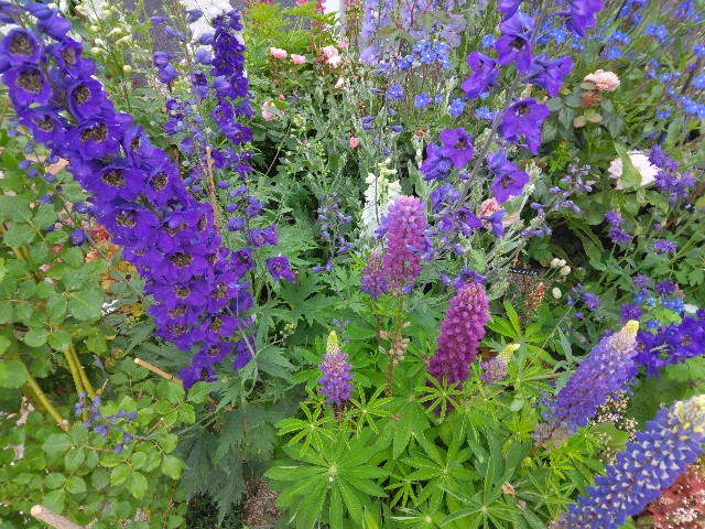 f:id:yukomanmaru:20240719231453j:image