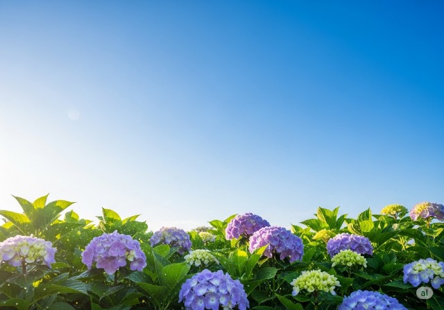 f:id:yukomanmaru:20250621024224j:image