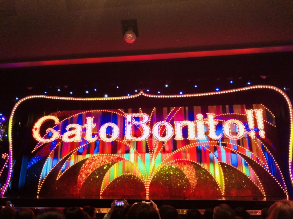雪組 Gato Bonito ガート ボニート 美しい猫のような男 清く 楽しく 美しく 雪組 Gato Bonito ガート ボニート 美しい猫のような男 清く 楽しく 美しく