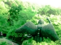 20110519041620