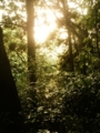 20110519041625
